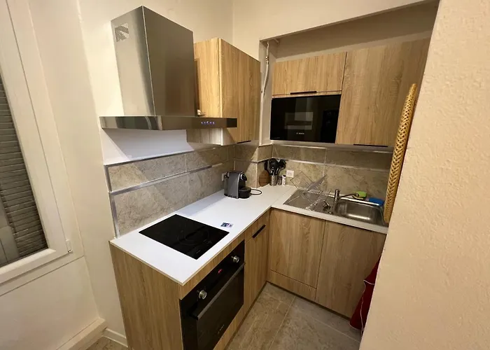 Apartment T2 Standing Place Du Marche Ajaccio (Corsica)